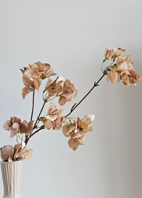 Kunsttak Bougainvillea Taupe met vertakte stelen en kleine bloemen in beige-roze en bruin in een witte geribbelde vaas op een lichte achtergrond