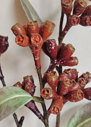 Close-up van kunstplant eucalyptus rood - ronde bladeren en rode tinten