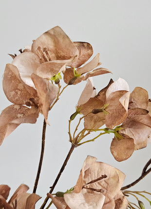 Kunstbloem Bougainvillea Taupe