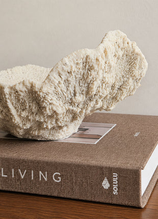 Close-up van Light & Living ornament schaal Coral crème met ruwe koraalachtige structuur op een koffietafelboek "Calm Living" op een houten ondergrond