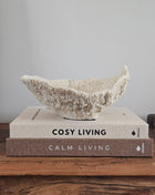 Light & Living ornament schaal Coral crème met ruwe koraalachtige structuur op koffietafelboeken 