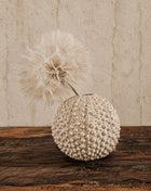 Light & Living vaas Sea Urchin crème H9.5 x Ø11 cm met bobbelige zee-egel structuur en een crème dandelion kunsttak op een donker houten ondergrond voor een ruwe beige muur