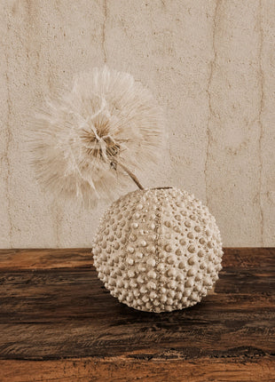 Light & Living vaas Sea Urchin crème H9.5 x Ø11 cm met bobbelige zee-egel structuur en een crème dandelion kunsttak op een donker houten ondergrond voor een ruwe beige muur