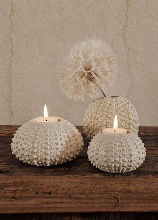 Set van Light en Living waxinelichthouders Sea Urchin crème in maat S en M naast elkaar op een witte ondergrond