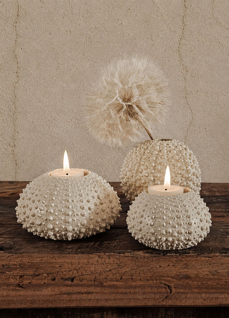 Light & Living Waxinelichthouder Sea Urchin Crème - set