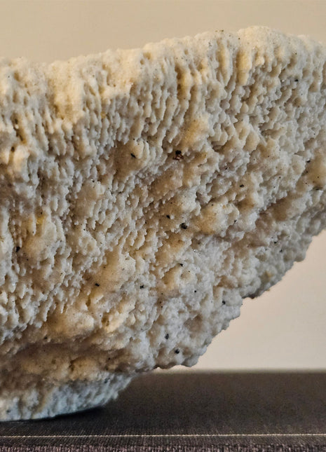 Ornament Coral crème gepresenteerd op dressoir met decoratieve accessoires