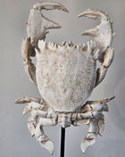 Light & Living Ornament krab crème wit gepresenteerd op een standaard.