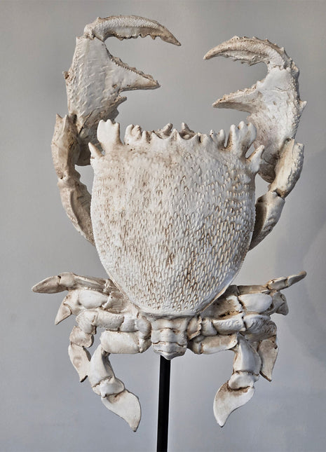 Light & Living Ornament krab crème wit gepresenteerd op een standaard.