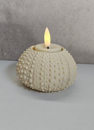 Waxinelichthouder Sea Urchin crème gepresenteerd met kaarslicht Ø 9xoogte 6 cm