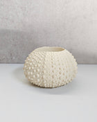 Waxinelichthouder Sea Urchin crème met organische vorm Ø 9xoogte 6 cm