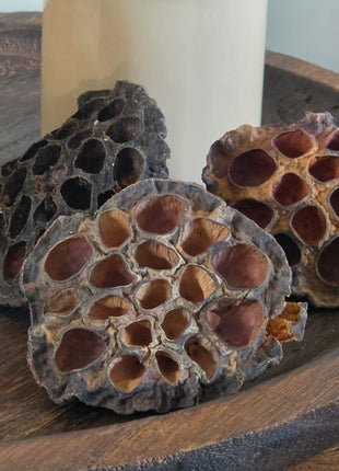 Close-up van bruine gedroogde lotuszaaddozen met vezelige randen en ronde gaten op een houten dienblad