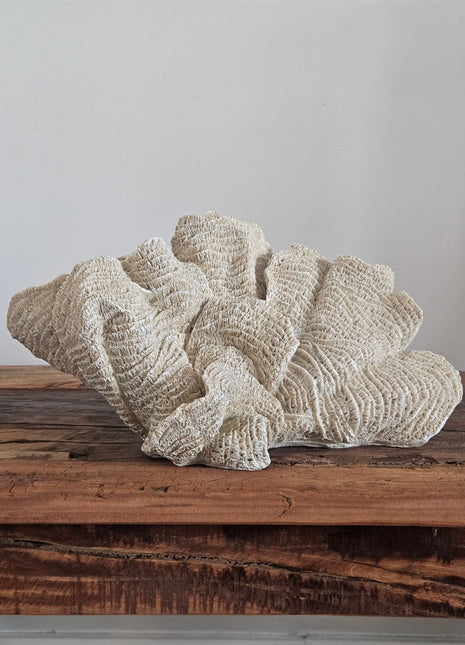 Ornament Coral Ocean - op bruine tafel