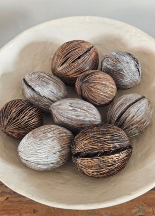 Tien mintolla ballen in bruin en naturel met een geribbelde vezelige structuur in een witte ronde schaal op een houten ondergrond