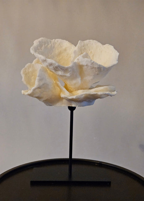 Ornament roos crème op standaard met sculptuur vorm hoogte 27 cm