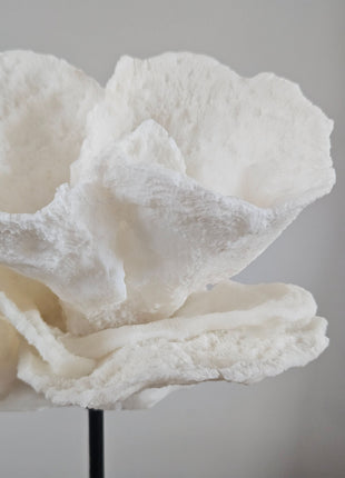 Close-up van de bloemblaadjes van een crème roos ornament met een fijne gelaagde structuur