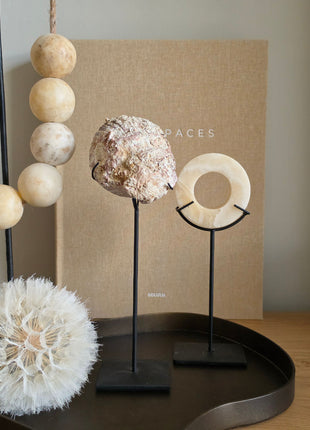 Schelpen Ornament Op Standaard