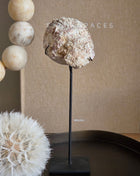 Schelpen Ornament Op Standaard