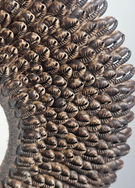 Close-up van schelpenketting antiek look donker - natuurlijke schelpen