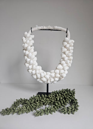 Close-up van schelpenketting natuurlijk wit - dichte textuur en witte schelpen