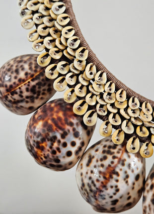 Close-up van grote tijgerschelpen met bruine vlekken en kauri-schelpen van schelpenketting tijgerschelp L op een lichtgrijze achtergrond