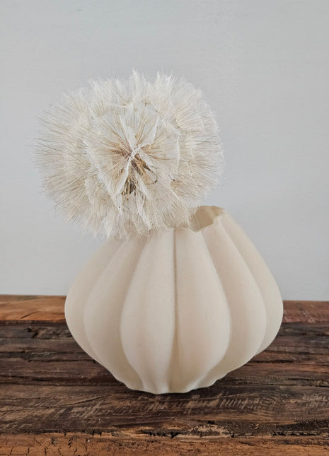 Vaas beige glas Ø 14 x H 11 cm met bolle ribbel-structuur en een crème dandelion kunsttak op een houten ondergrond voor een lichtgrijze muur