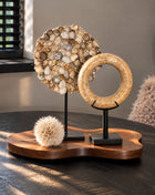 Vooraanzicht van beige Shell and Stone set met oesterschelpen en stenen ring op bruin houten dienblad bij een raam