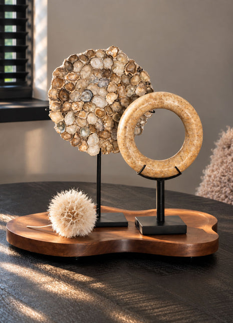 Vooraanzicht van beige Shell and Stone set met oesterschelpen en stenen ring op bruin houten dienblad bij een raam