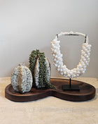 Decoratie Set Walnut Vase met twee keramieke Arquette vaasjes, een groene kunst erwtenplant en een witte schelpenketting op walnoot dienblad.