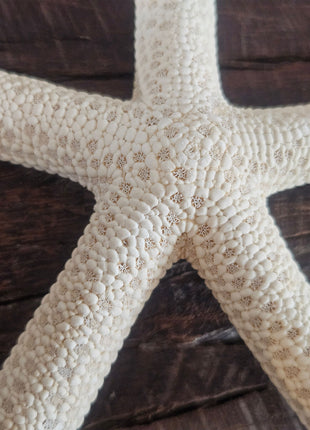Zeester Beige