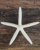 Zeester Beige