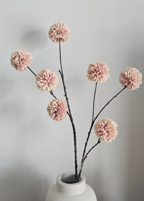 Champagne zijdebloem Chrysanthemum Pompom met zeven karakteristieke bolvormige bloemen aan een steel, hoogte 98 cm.