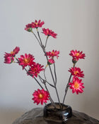 Zijdebloem Daisy Spray Red met een hoogte van 50 cm en buigbare steel. De bloemen zijn prachtig kleurig roze, de blaadjes zijn zijde zacht.