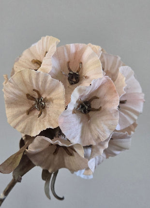 Close-up van creme Scabiosa zijdebloem met geweven bloemblaadjes en donkere hartjes tegen een grijze achtergrond