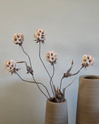 Vooraanzicht van creme Scabiosa zijdebloemen met stoffen bloemblaadjes in een beige vaas tegen een grijze muur